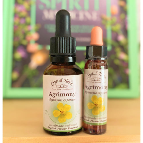 Agrimony Flower Essence - Align Your Vibe. Flower remedy handmade according to the original instructions of Dr Edward Bach. 