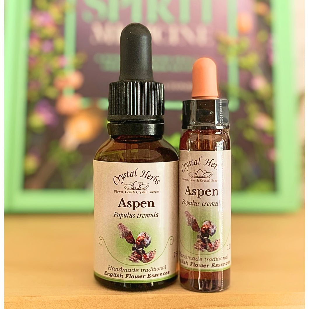 Aspen Flower Essence - Align Your Vibe. Flower remedy handmade according to the original instructions of Dr Edward Bach. 