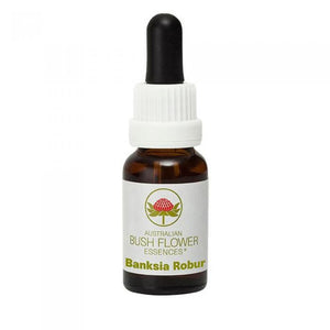 Banksia Robur Australian Bush Flower Essence by Align Your Vibe – natural support for burnout, emotional resilience, and renewed motivation