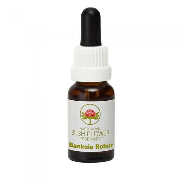 Banksia Robur Australian Bush Flower Essence by Align Your Vibe – natural support for burnout, emotional resilience, and renewed motivation