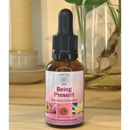 Being Present Essence – Becoming Grounded - Align Your Vibe. Use this vibrational essence to help you stay fully present and focused in the now moment.