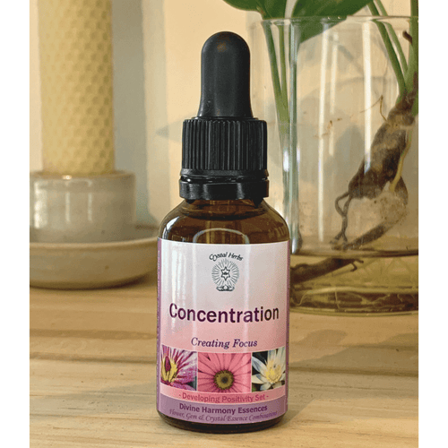 Concentration Essence – Creating Focus - Align Your Vibe. This vibrational essence promotes concentration and the ability to focus.