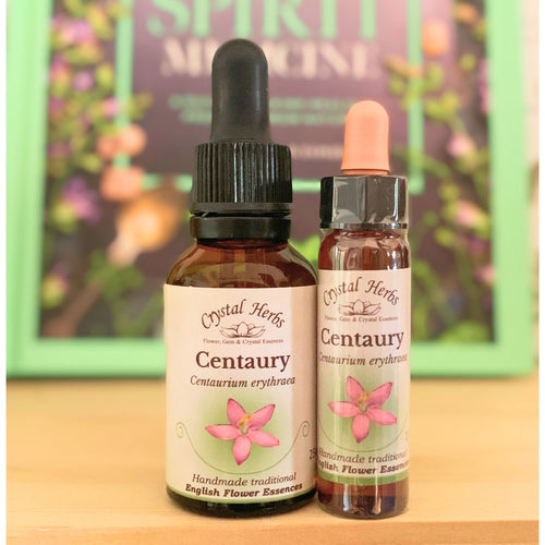 Centaury Flower Essence - Align Your Vibe. Flower remedy handmade according to the original instructions of Dr Edward Bach. 