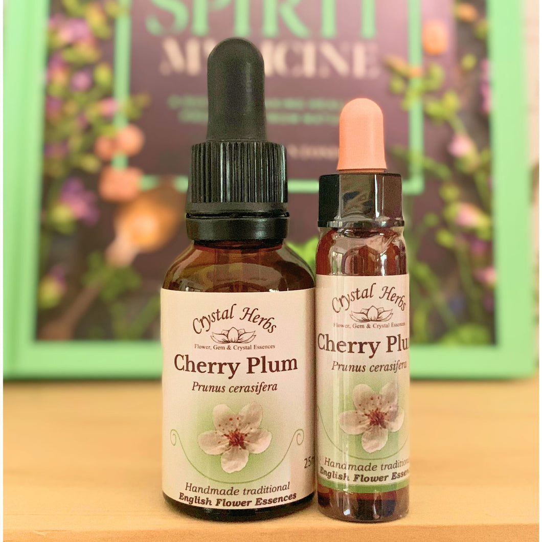 Cherry Plum Flower Essence - Align Your Vibe. Flower remedy handmade according to the original instructions of Dr Edward Bach. 