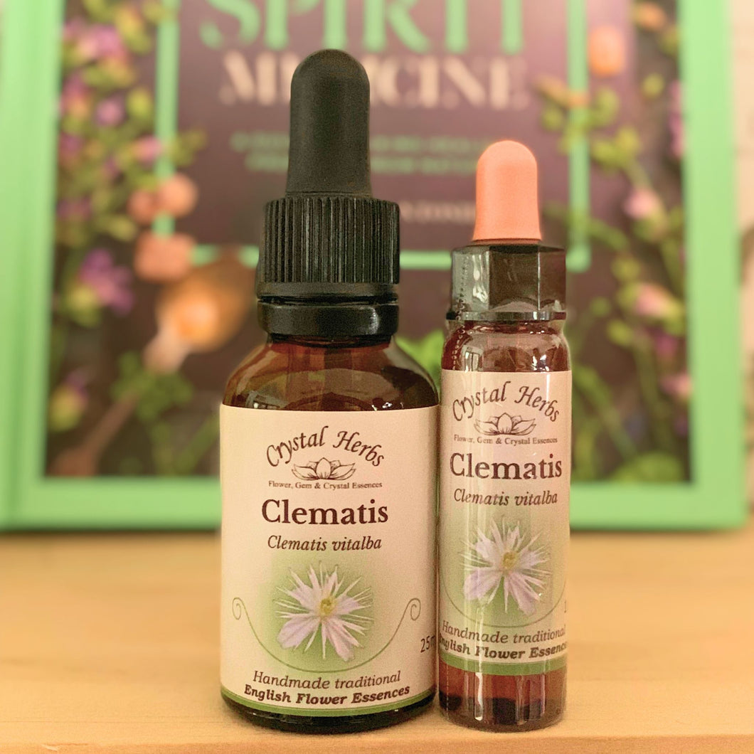 Clematis Flower Essence - Align Your Vibe. Flower remedy handmade according to the original instructions of Dr Edward Bach. 