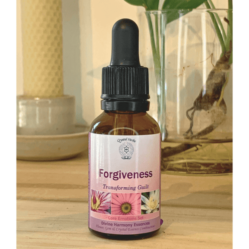 Forgiveness Essence – Transforming Guilt - Align Your Vibe. This vibrational essence helps you forgive and move on