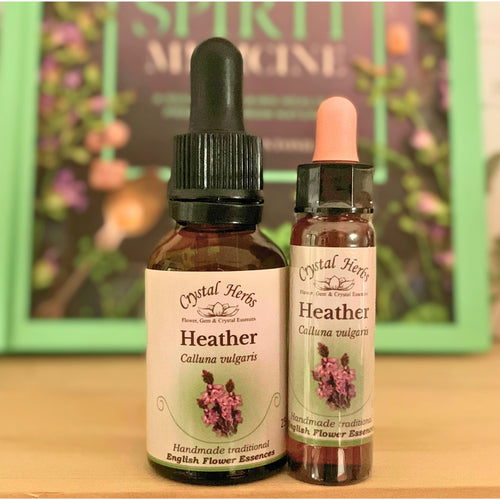 Heather Flower Essence - Align Your Vibe. Flower remedy handmade according to the original instructions of Dr Edward Bach. 