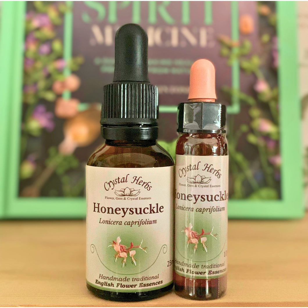 Honeysuckle Flower Essence - Align Your Vibe. Flower remedy handmade according to the original instructions of Dr Edward Bach. 