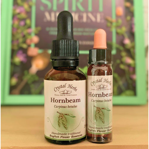 Hornbeam Flower Essence - Align Your Vibe. Flower remedy handmade according to the original instructions of Dr Edward Bach. 