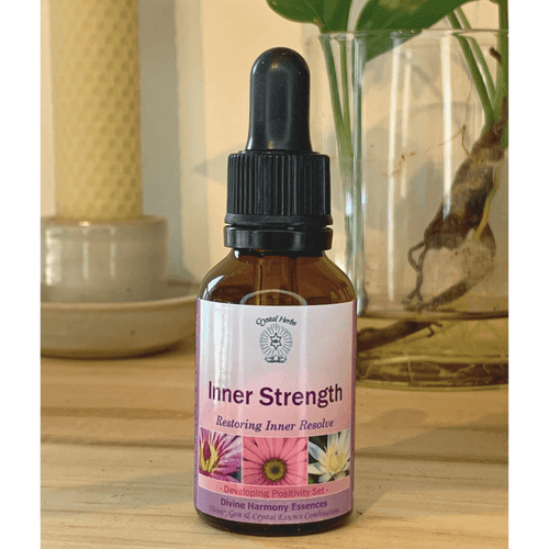 Inner Strength Essence – Restoring Inner Resolve - Align Your Vibe. This vibrational essence helps to strengthen and promote the qualities of inner resolve, strength, courage and determination