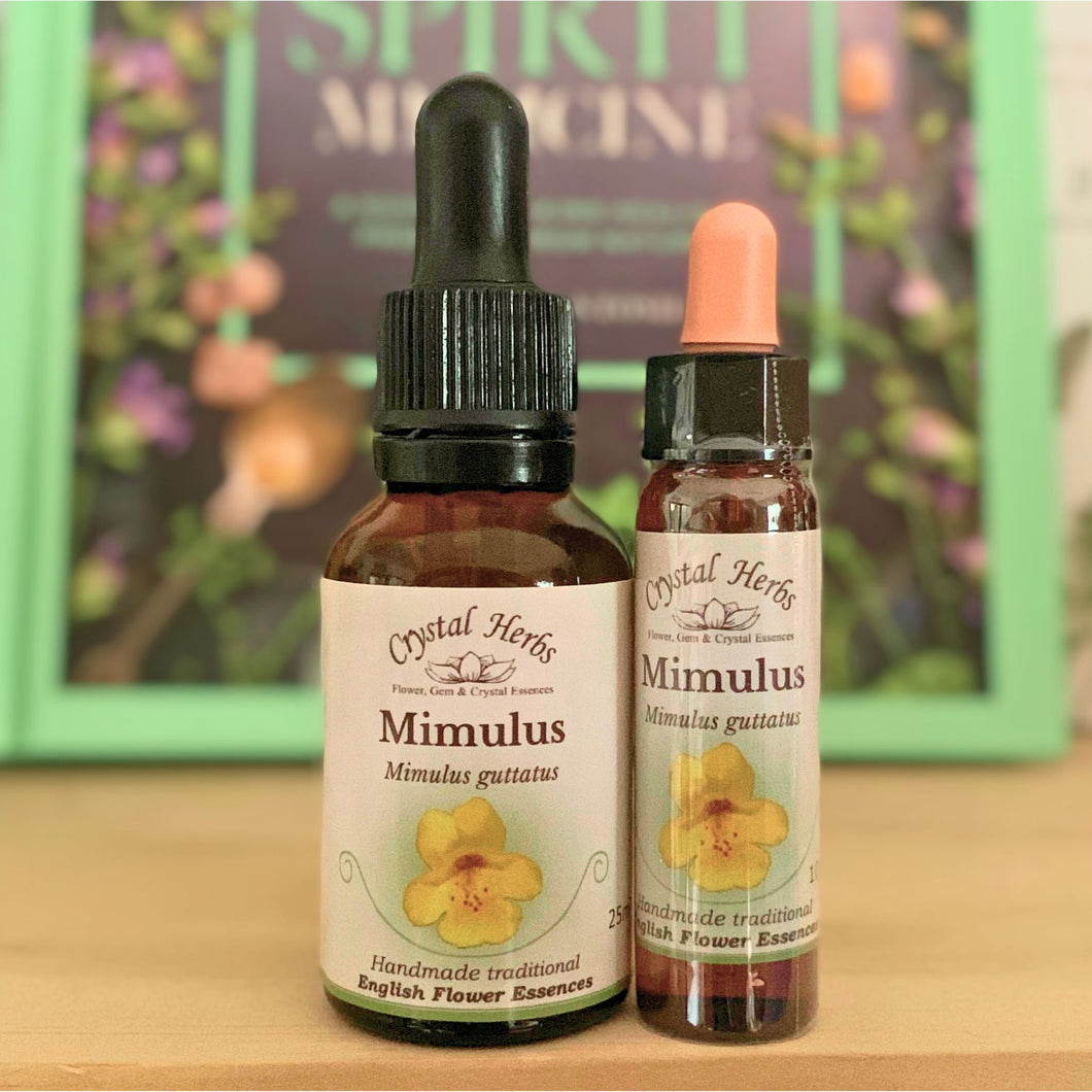 Mimulus Flower Essence - Align Your Vibe. Flower remedy handmade according to the original instructions of Dr Edward Bach. 