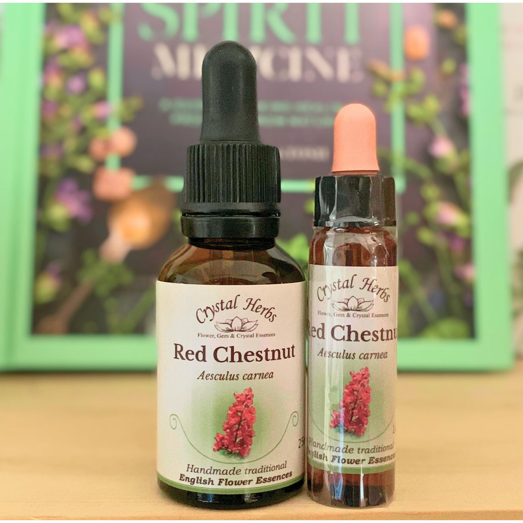 Red Chestnut Flower Essence - Align Your Vibe. Flower remedy handmade according to the original instructions of Dr Edward Bach. 