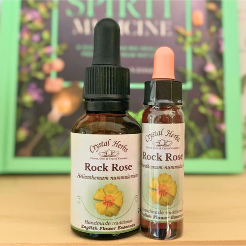 Rock Rose Flower Essence - Align Your Vibe. Flower remedy handmade according to the original instructions of Dr Edward Bach. 