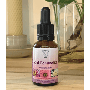 Divine Harmony Essence - SOUL CONNECTION