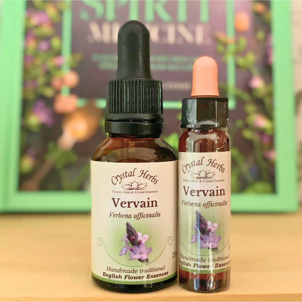 Vervain Flower Essence - Align Your Vibe. Flower remedy handmade according to the original instructions of Dr Edward Bach. 