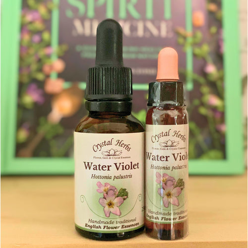 Water Violet Flower Essence - Align Your Vibe. Flower remedy handmade according to the original instructions of Dr Edward Bach. 