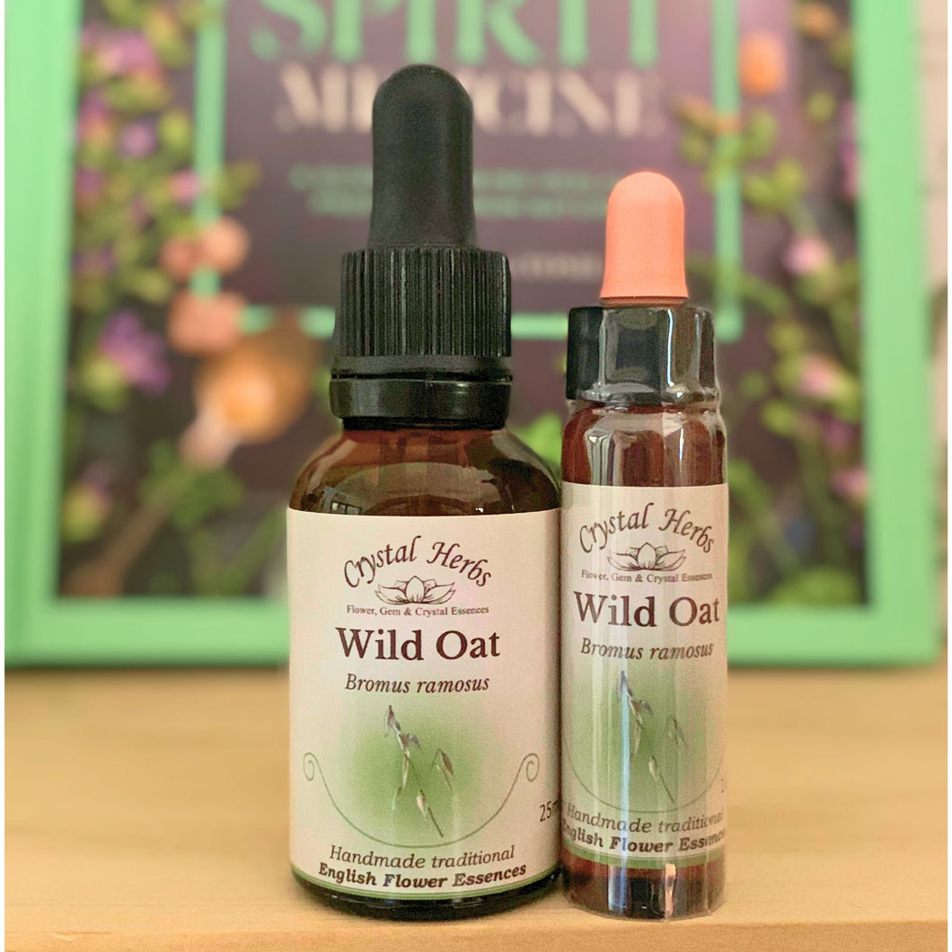 Wild Oat Flower Essence - Align Your Vibe. Flower remedy handmade according to the original instructions of Dr Edward Bach. 