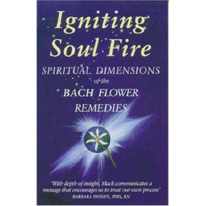 Igniting Soul Fire - Gaye Mack - Align Your Vibe